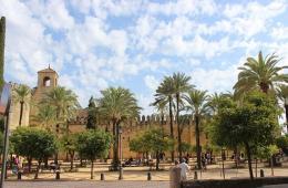 7 - SEVILLA-CORDOBA-SEVILLA